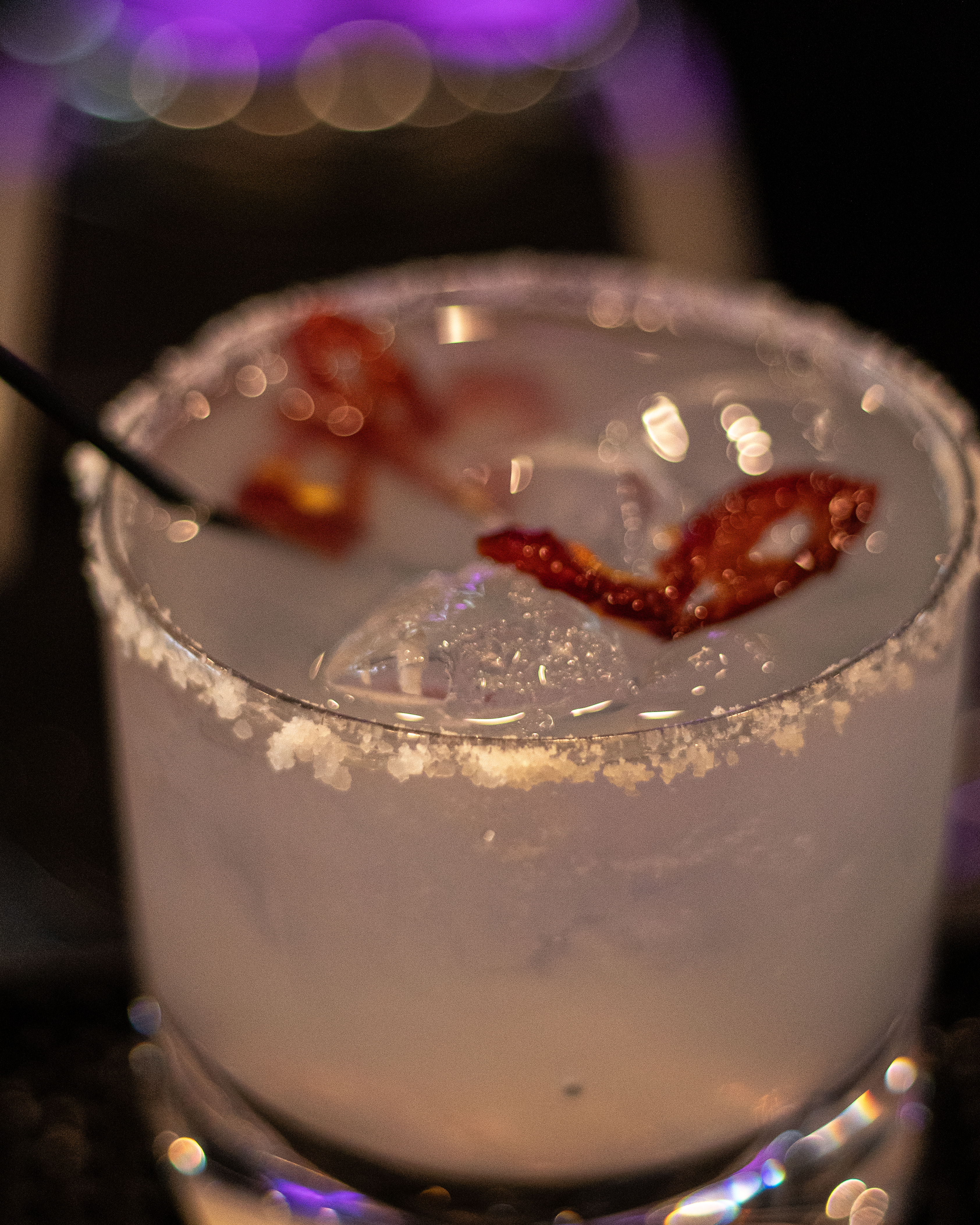 SocialBites Gallery Image 30